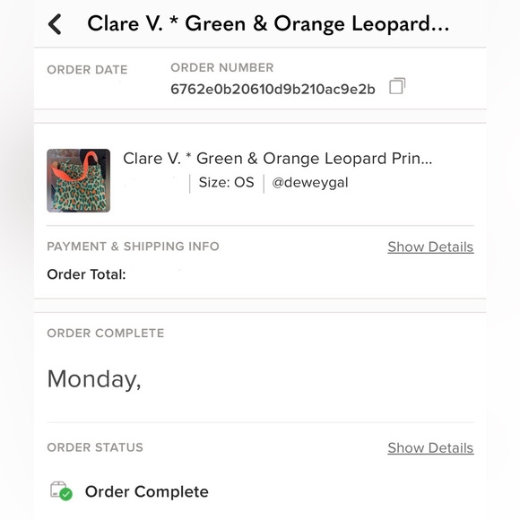 Clare V Leopard Print Clutch in Green and Orange - Picture 9 of 9